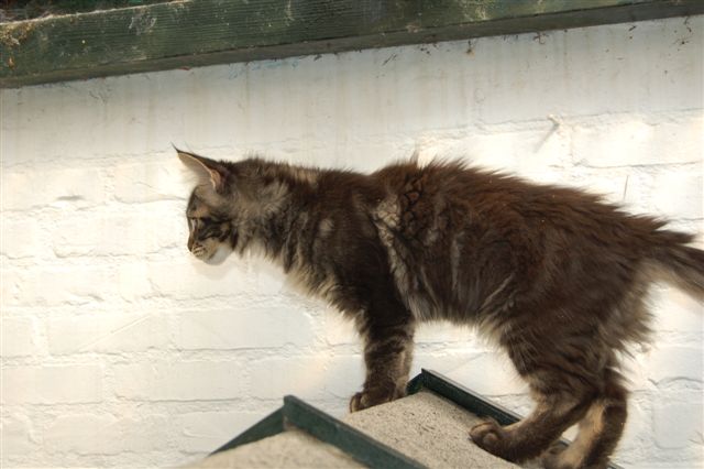 youp gaga en nina week 15 033.jpg